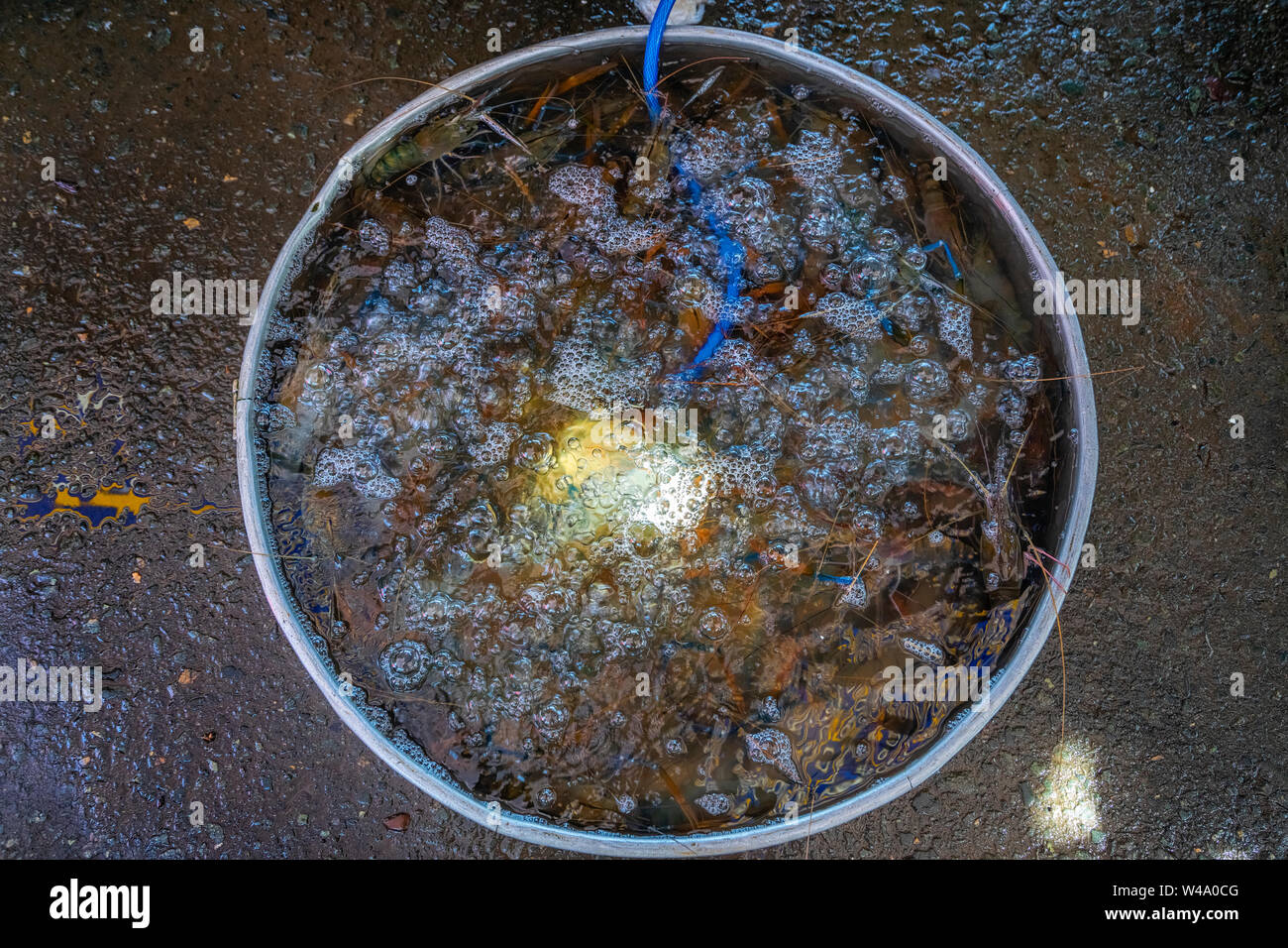 Vista di Can Tho mercato, delta del Mekong, Vietnam, con verdure e pesce. Foto Stock