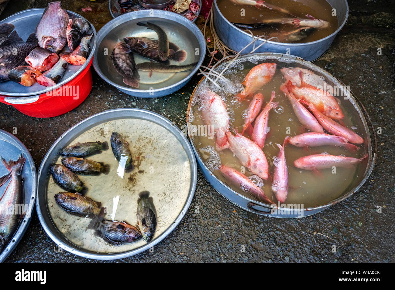 Vista di Can Tho mercato, delta del Mekong, Vietnam, con verdure e pesce. Foto Stock