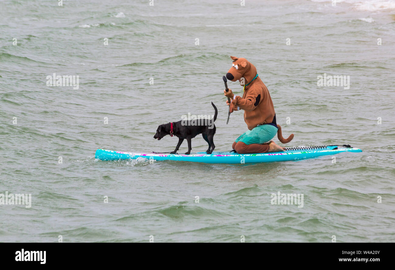 Branksome Dene lombata, Poole, Dorset, Regno Unito. Il 21 luglio 2019. Dopo il successo degli ultimi anni UKs primo cane campionati di surf, organizzato da Shaka Surf, a Branksome Dene Chine beach, la manifestazione si svolge per il secondo anno con ancor più i cani che vi partecipano e surf e paddleboarding sulle loro tavole. La folla a sua volta guarda il divertimento su breezy day rendendo le condizioni più impegnative. Harper, Patterdale Labrador croce dog e Scooby Doo surfing. Cane la navigazione con il proprietario - sulla tavola da surf paddleboard. Credito: Carolyn Jenkins/Alamy Live News Foto Stock