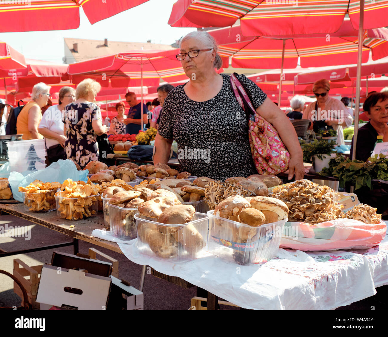 Donna cliente sta guardando il display dei funghi di stallo del mercato. Signora sta cercando di varietà di tipi. Zagreb, Croazia Foto Stock