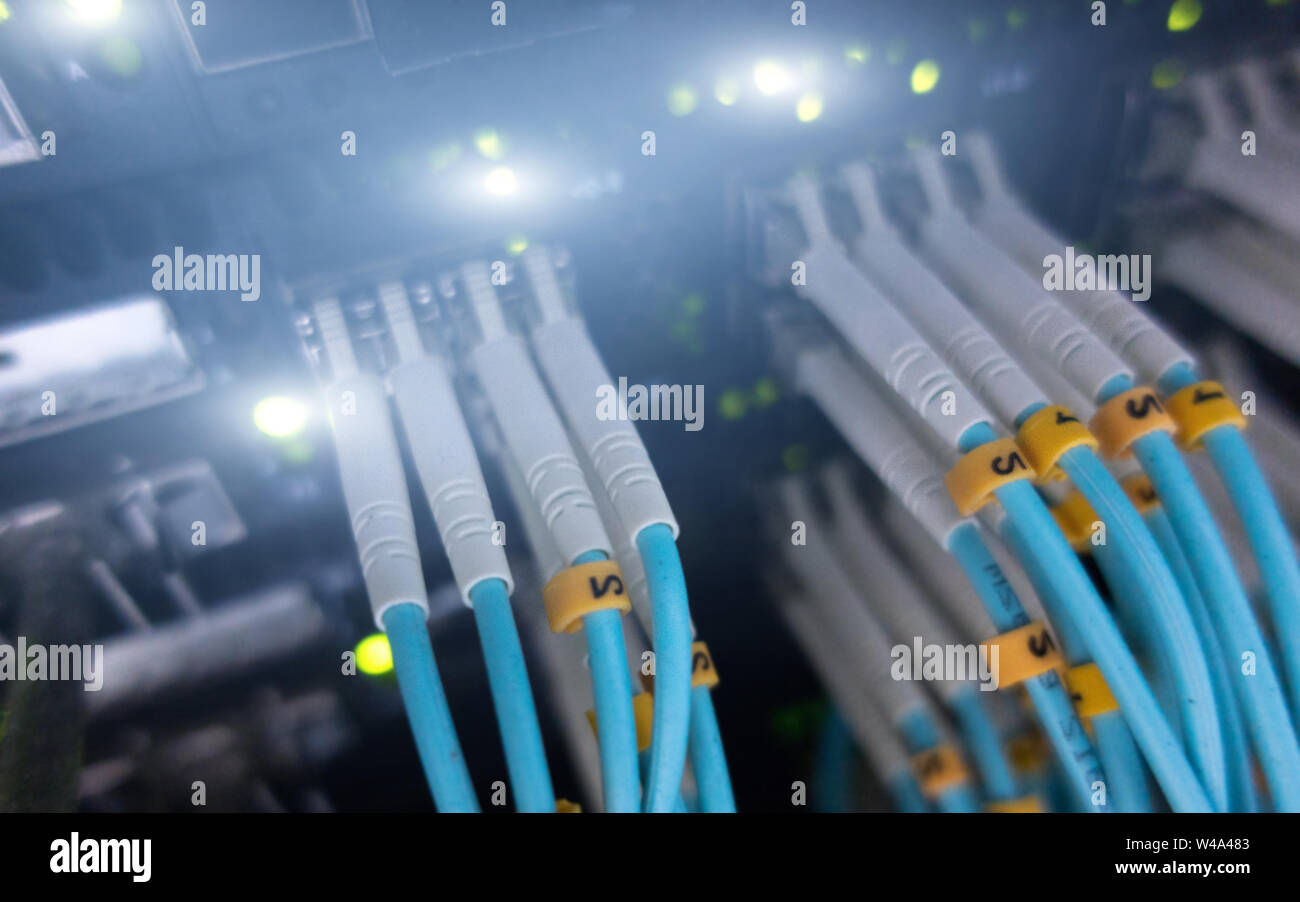 Cavo ottico. Concetto moderno di connessione a Internet Foto Stock