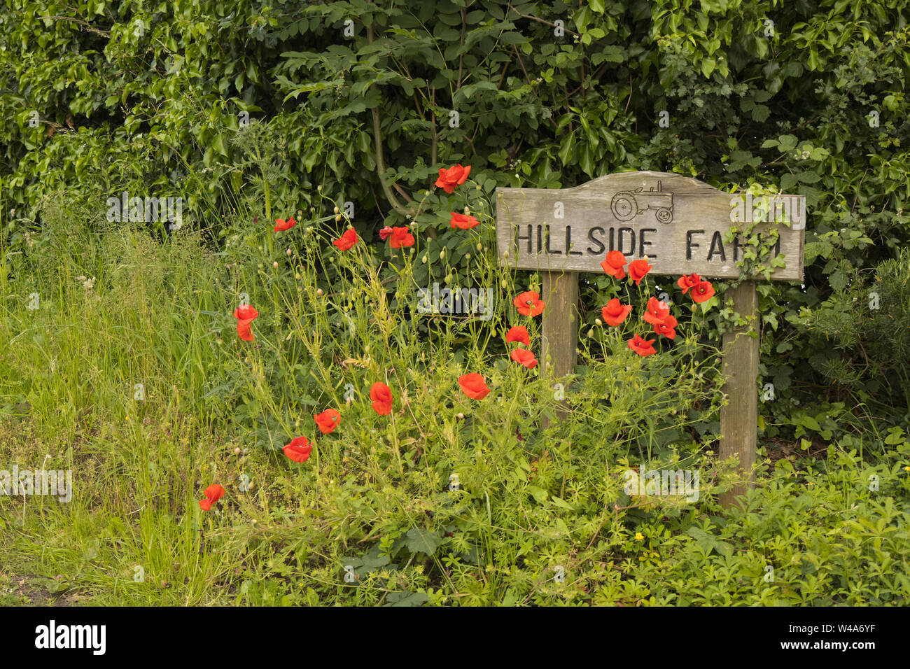 Segno per la Fattoria di collina nei pressi del villaggio di Wangford, Suffolk Foto Stock