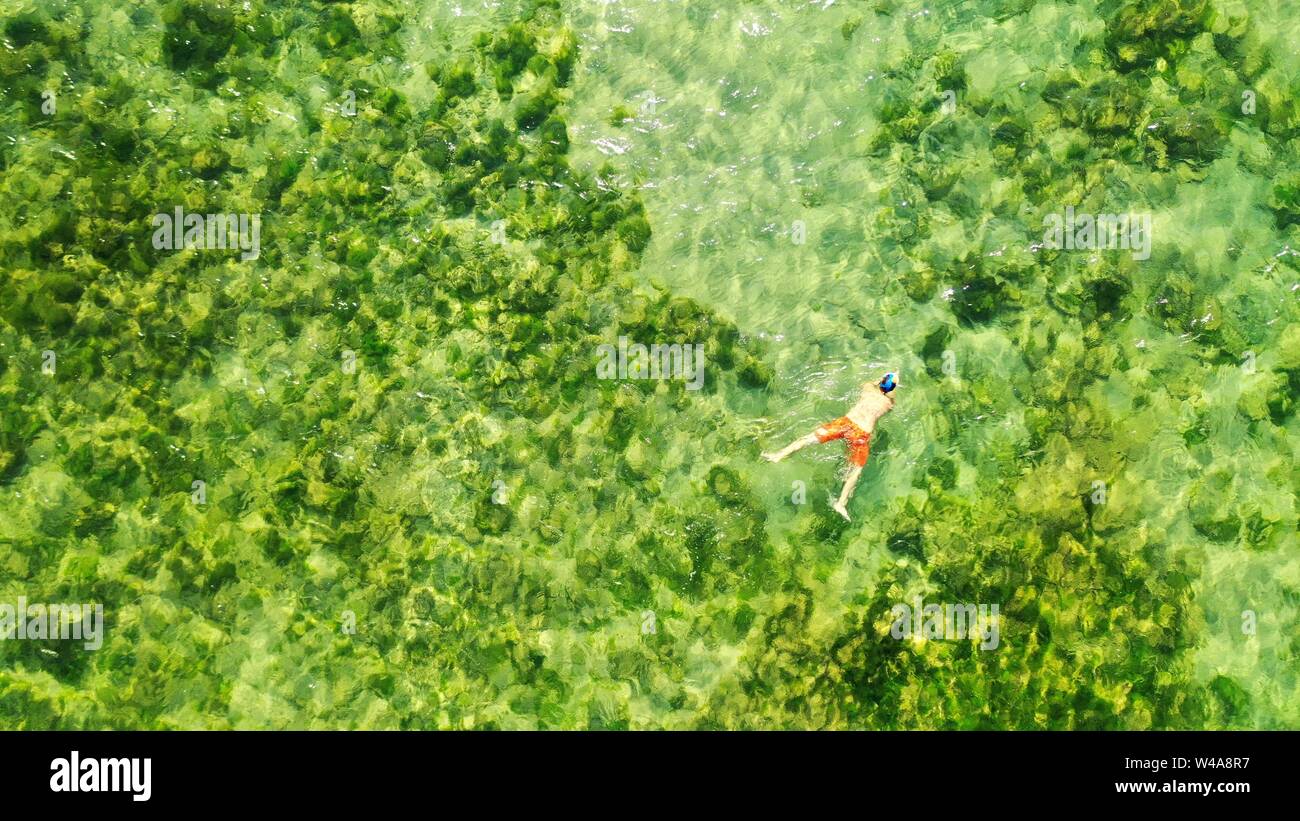 Foto aerea di nuoto maschile in acqua con bella barriera corallina verde sotto Foto Stock