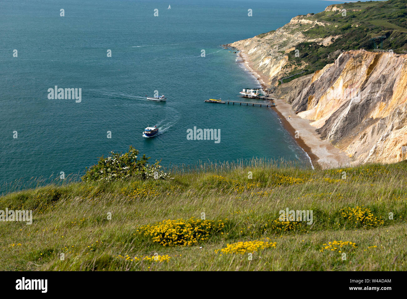 Allume Bay e la sabbia colorata scogliere. Isola di Wight England Regno Unito Foto Stock