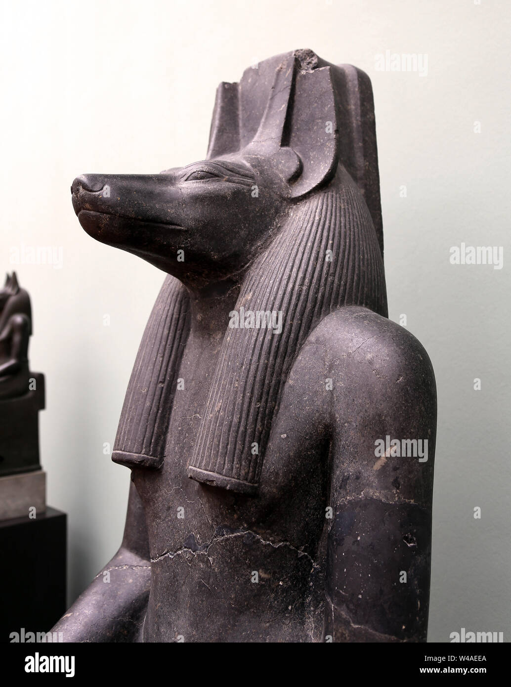 Testa di Anubi, lo sciacallo teste. Dio di imbalsamazione. Tempio di Luxor, regno di Amenofi III (1403-1365 a.C.). Diorite. Dettagli dalla statua. Foto Stock
