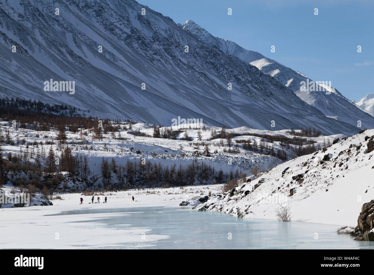 Backpacking tour di sci alpinisti degli Altai in alta montagna. La Siberia. La Russia. Foto Stock