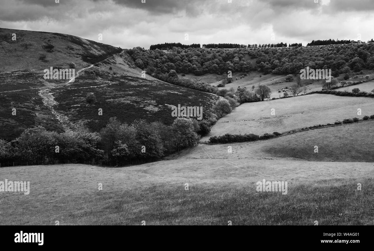 Il North York Moors in profondità nel foro del Horcum con vista su tutta la depressione geologica in estate, Goathland, nello Yorkshire, Regno Unito. Foto Stock