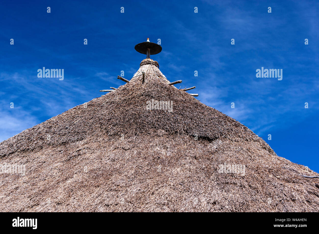 Tetto di Paglia horreo in Balouta, Los Ancares, provincia di León, Spagna Foto Stock