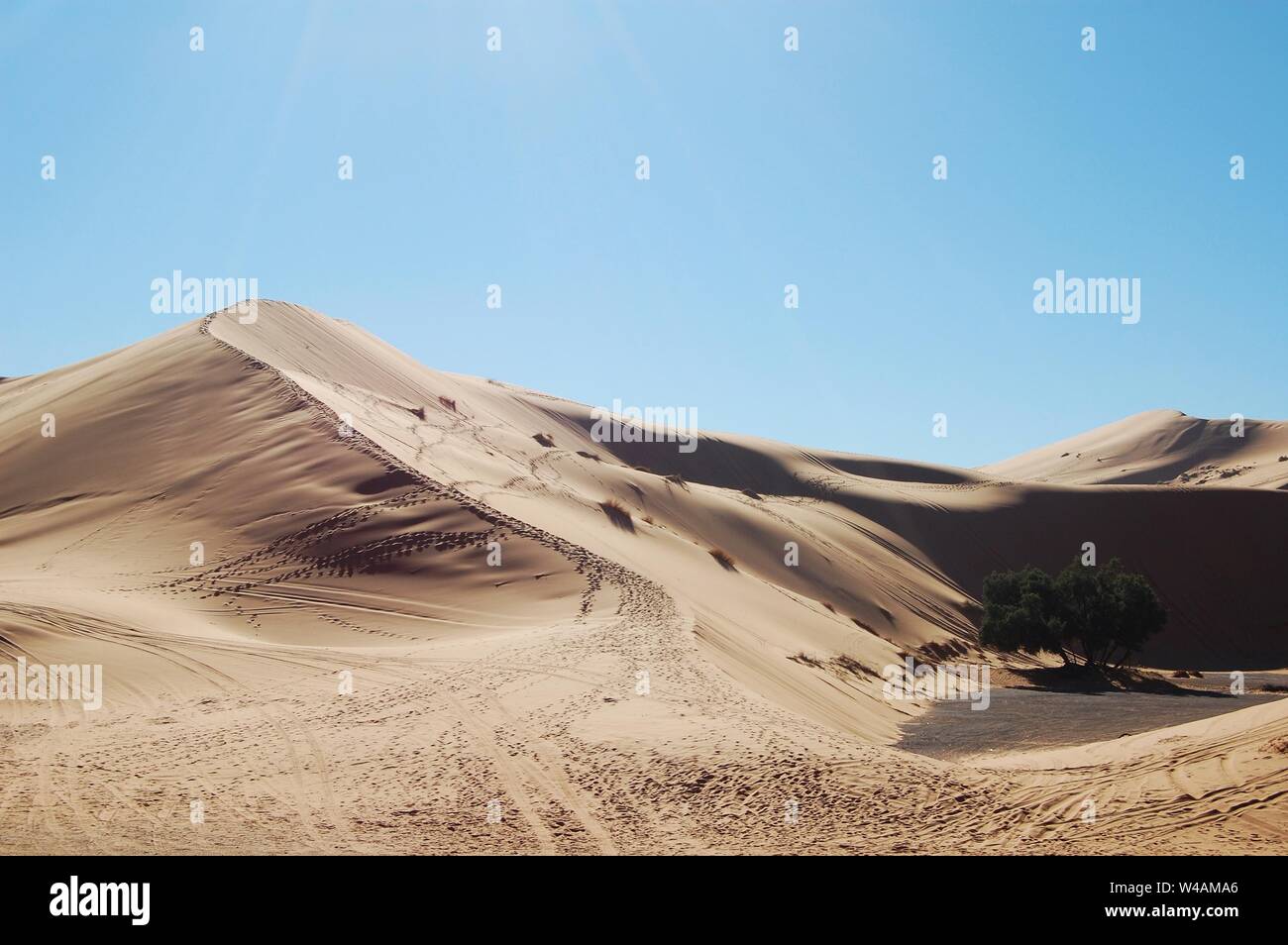Ampio shot di dune di sabbia nel deserto su un giorno di sole Foto Stock