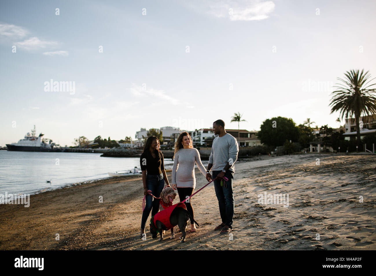 Famiglia miscelato in piedi con i cani sulla spiaggia al tramonto Foto Stock