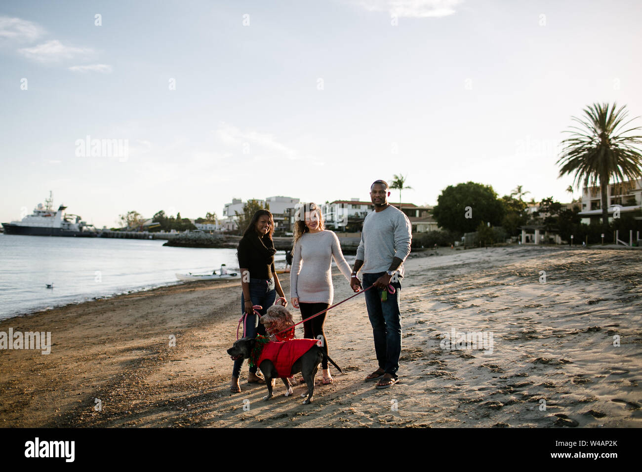 Famiglia miscelato con cani sorridente in telecamera sulla spiaggia al tramonto Foto Stock