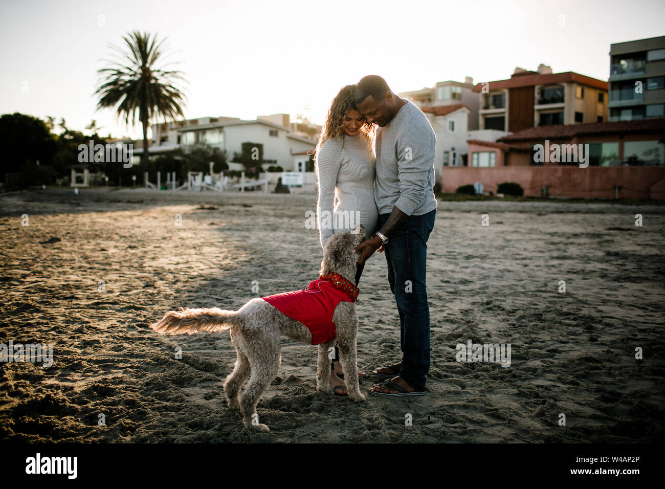 Multi razziale giovane petting cane sulla spiaggia al tramonto Foto Stock
