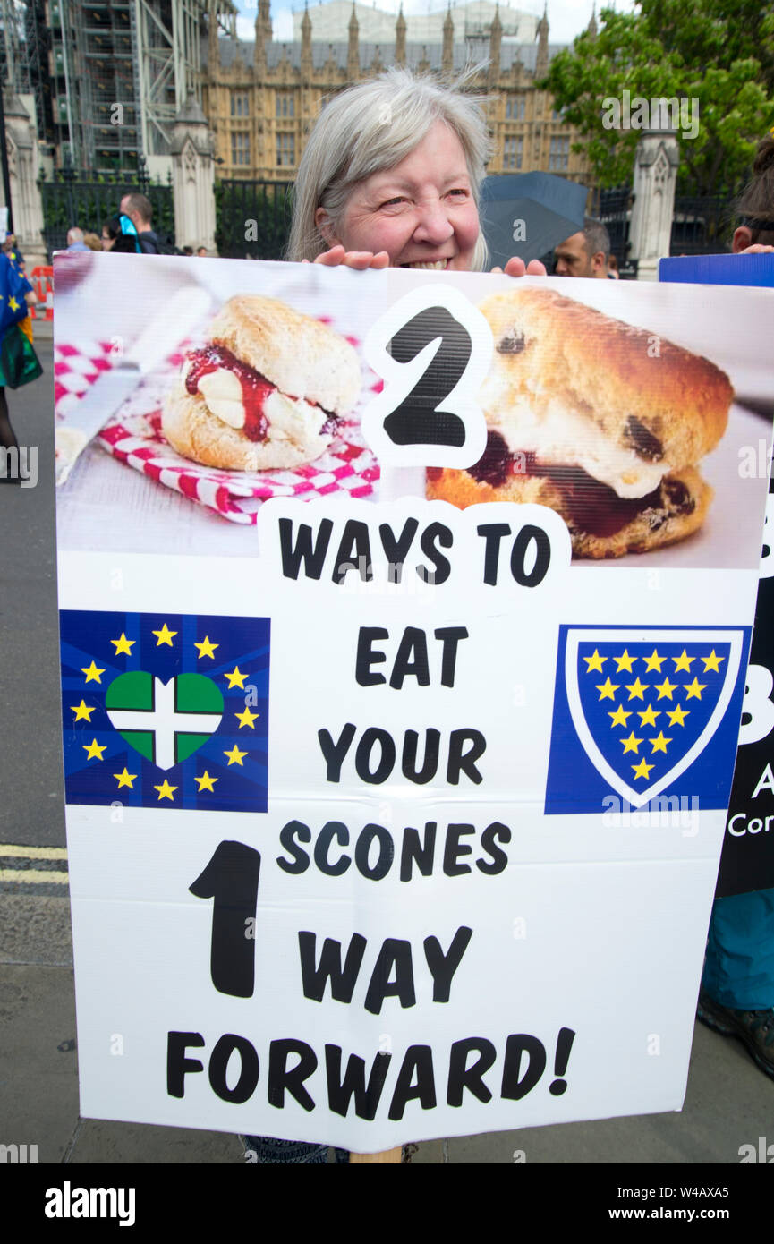 Anti Brexit e anti- Boris dimostrazione Luglio 20th. Cornish contestatori. Foto Stock