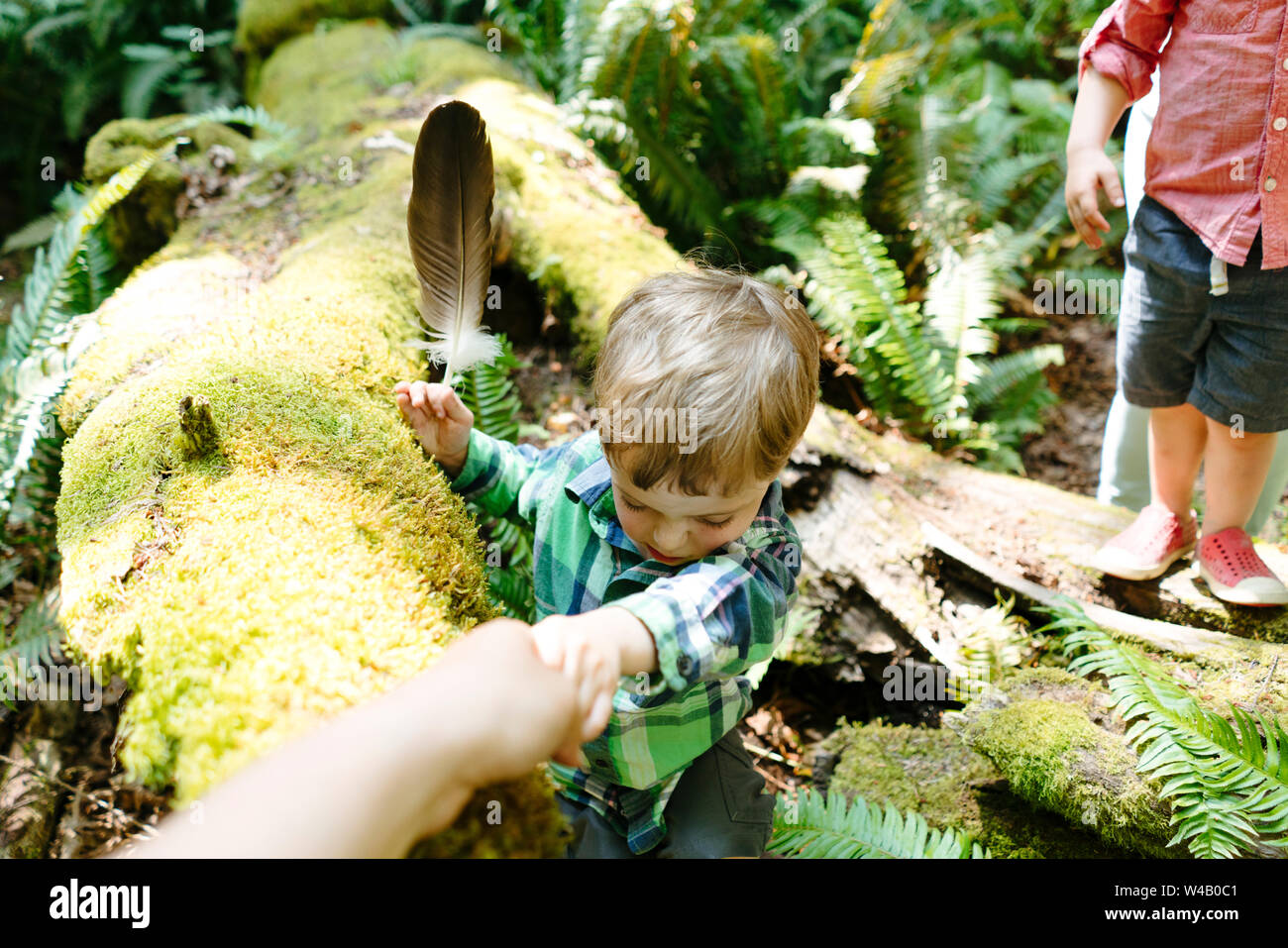 Immagine ritagliata di aiutare un giovane ragazzo saltare su un tronco di albero Foto Stock