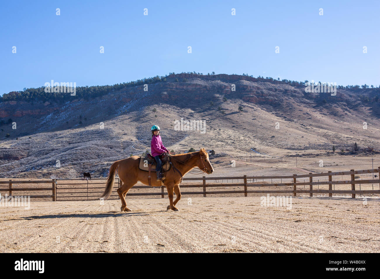 Ragazza praticare equitazione il suo cavallo in un'arena all'aperto Foto Stock