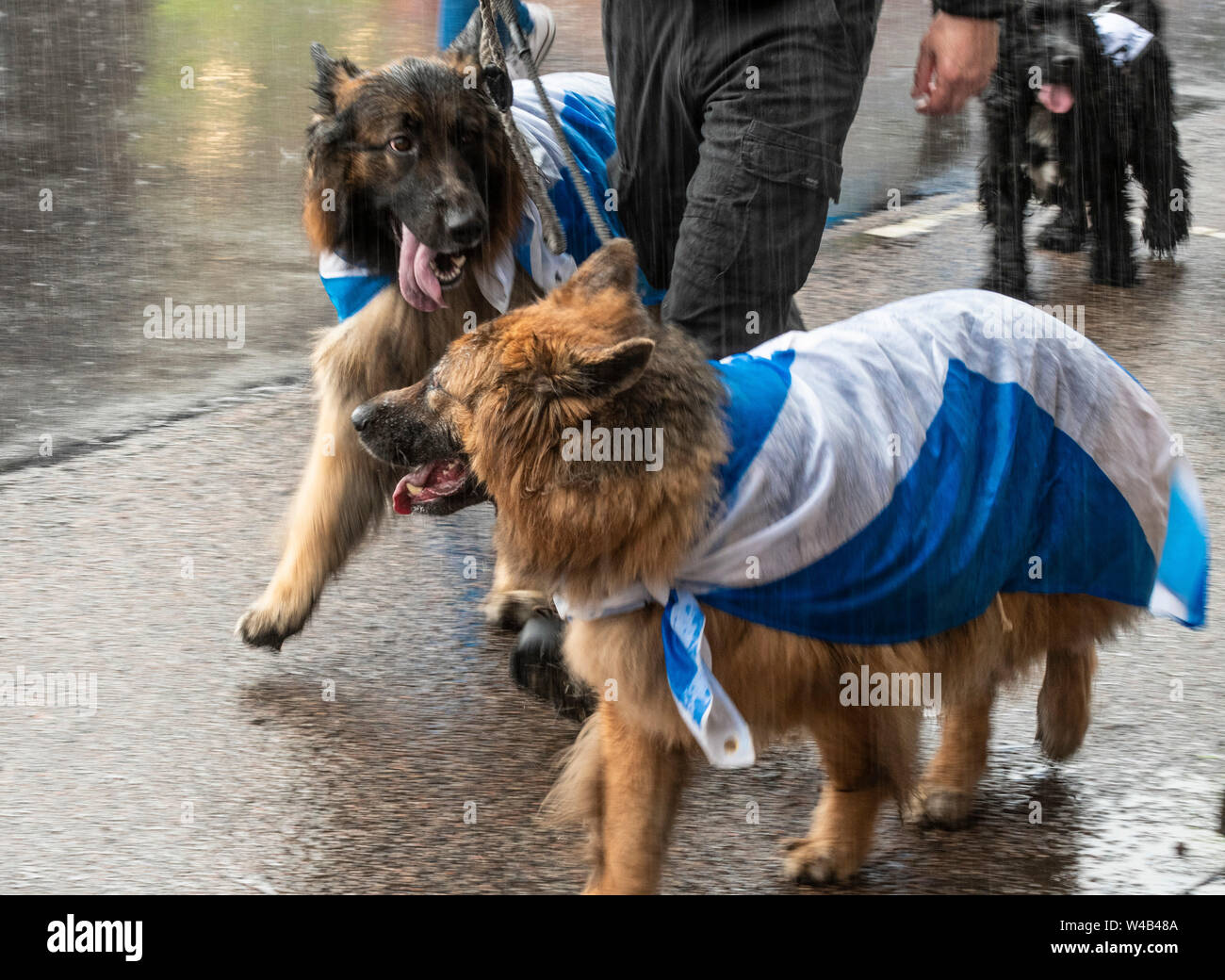 Oban, tutti sotto uno striscione indipendenza marzo - 2019 Foto Stock