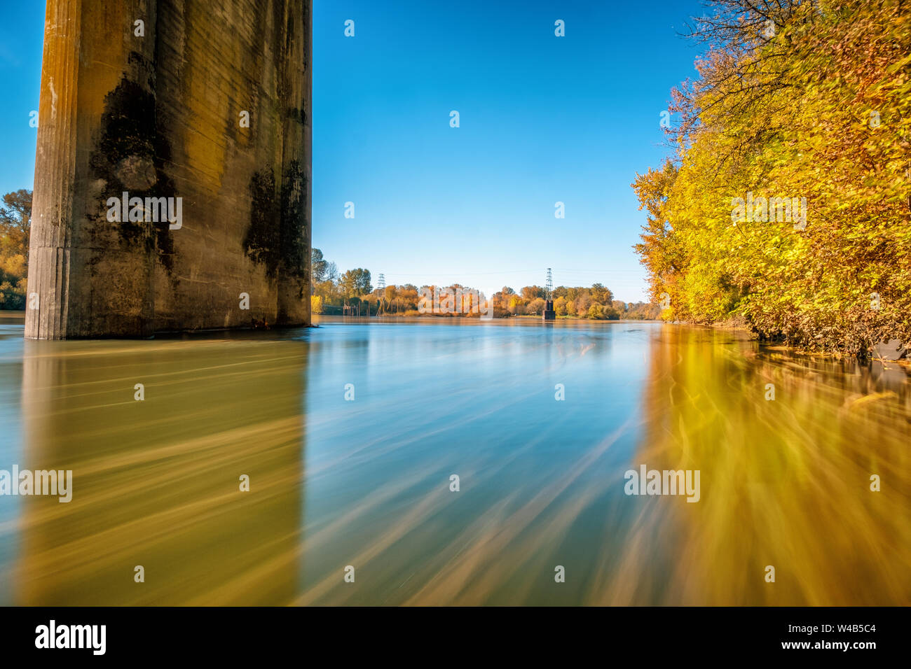 Gold Rush, una lunga esposizione di colore di autunno sul fiume Willamette, Albany, Oregon Foto Stock