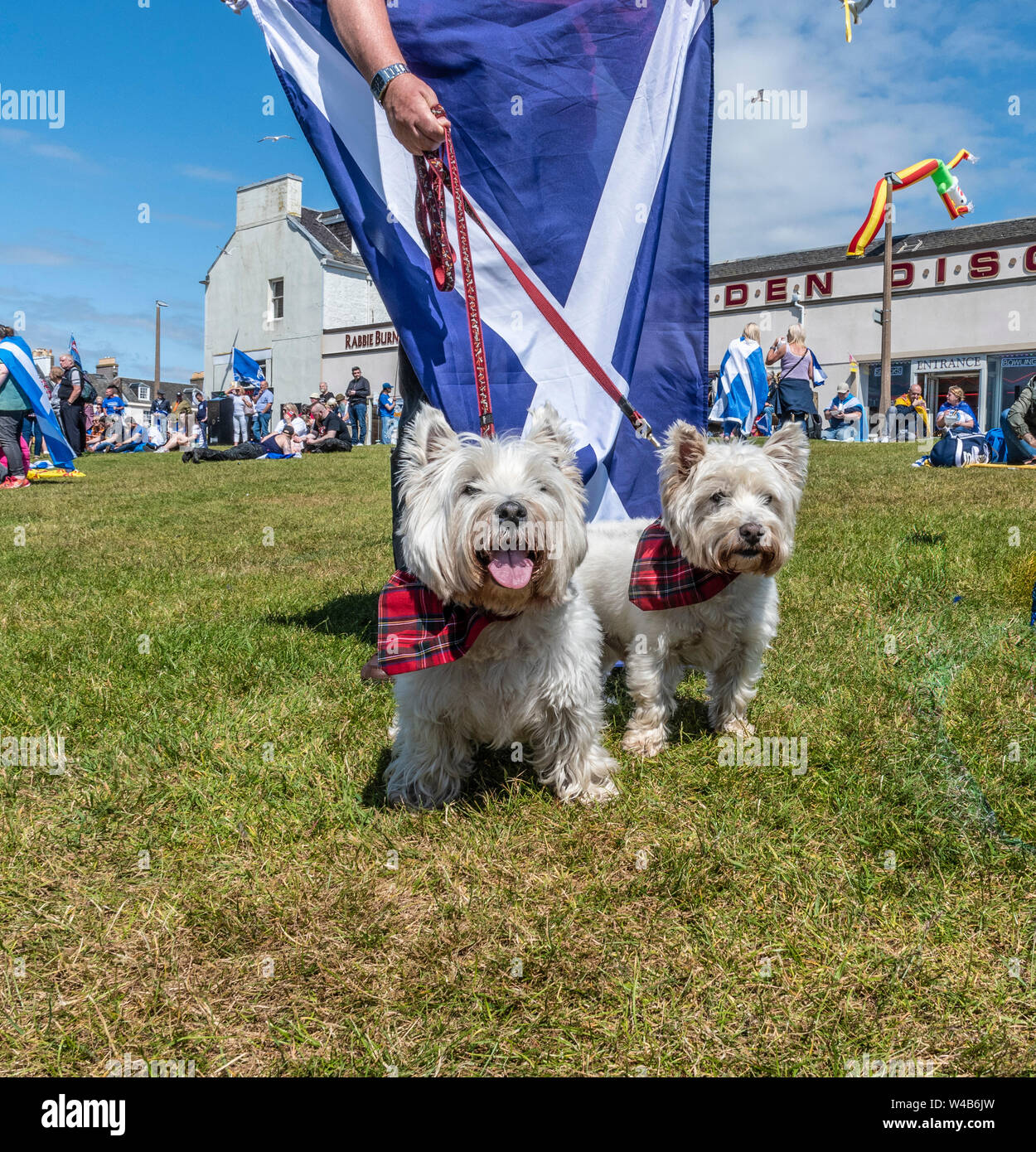 Ayr, tutti sotto uno striscione indipendenza marzo - 2019 Foto Stock