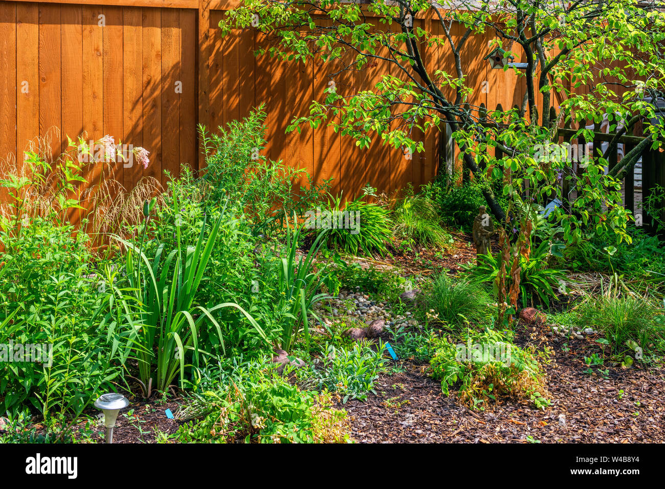Pianta nativa giardino in Rogers Park quartiere Foto Stock