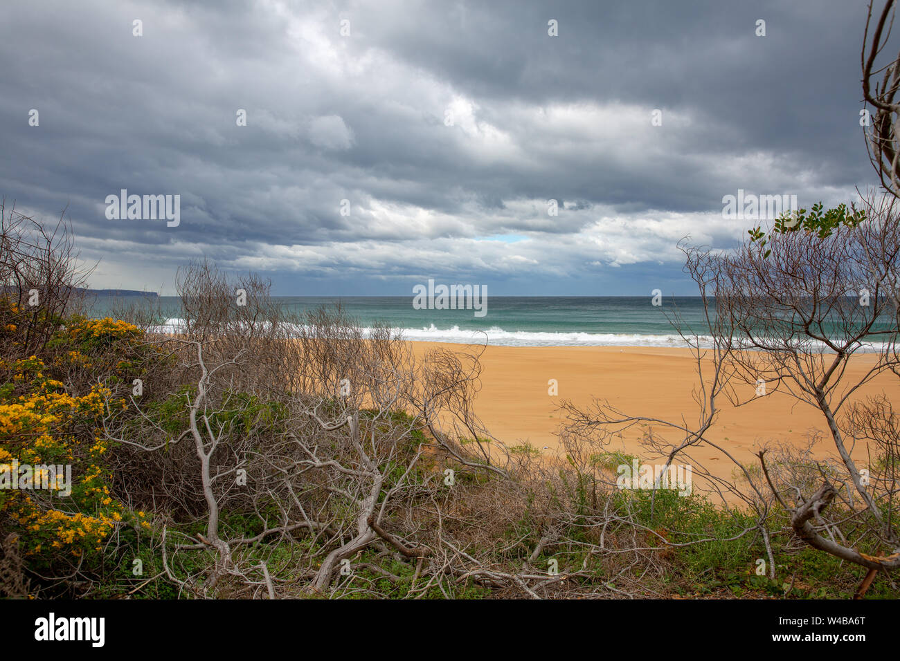 Nuvole temporalesche su Palm Beach a Sydney nel sobborgo nord di Sydney, Australia Foto Stock