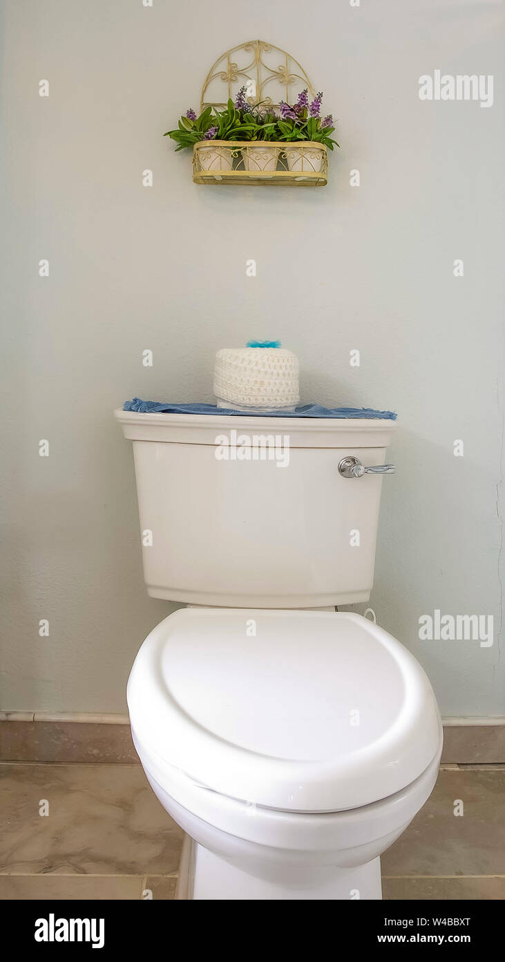 Altezza verticale il telaio wc accanto al box doccia all'interno del bagno  di un'abitazione. Un portafazzoletti e ornamentali piante in vaso sono  montati su la pentecoste Foto stock - Alamy