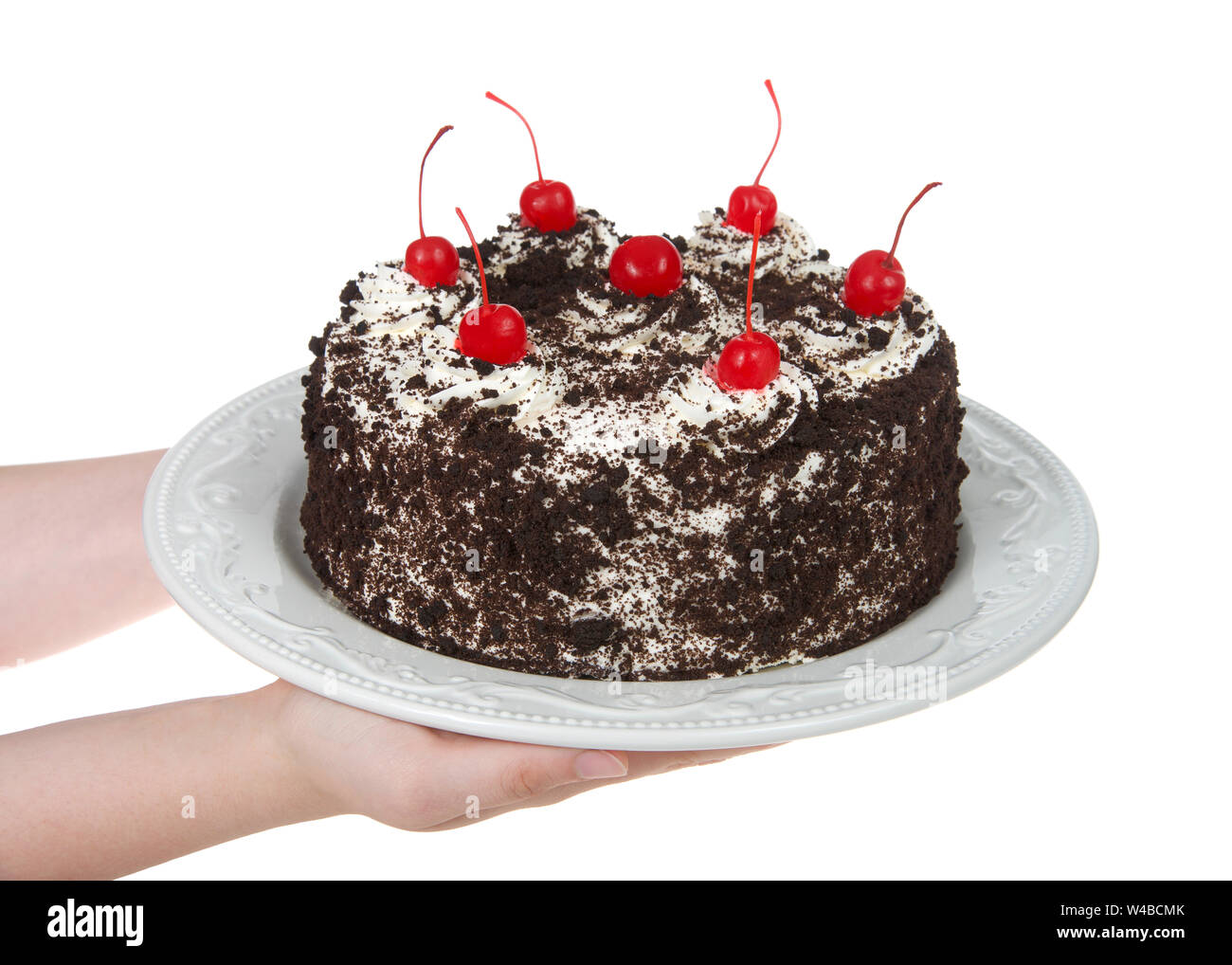 Giovani caucasici femmina mani tutta la torta della Foresta nera su un bianco piastra di porcellana isolato su uno sfondo bianco. Panna montata, mollica ch Foto Stock
