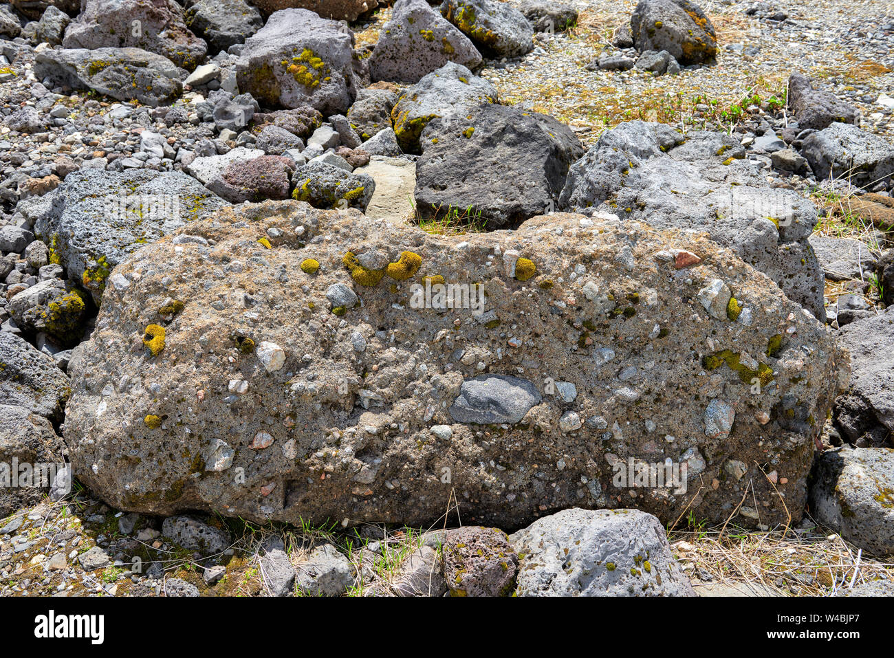 Polymictic conglomerato di origine vulcanica. Luglio. Eastern Sayan. Asia centrale Foto Stock