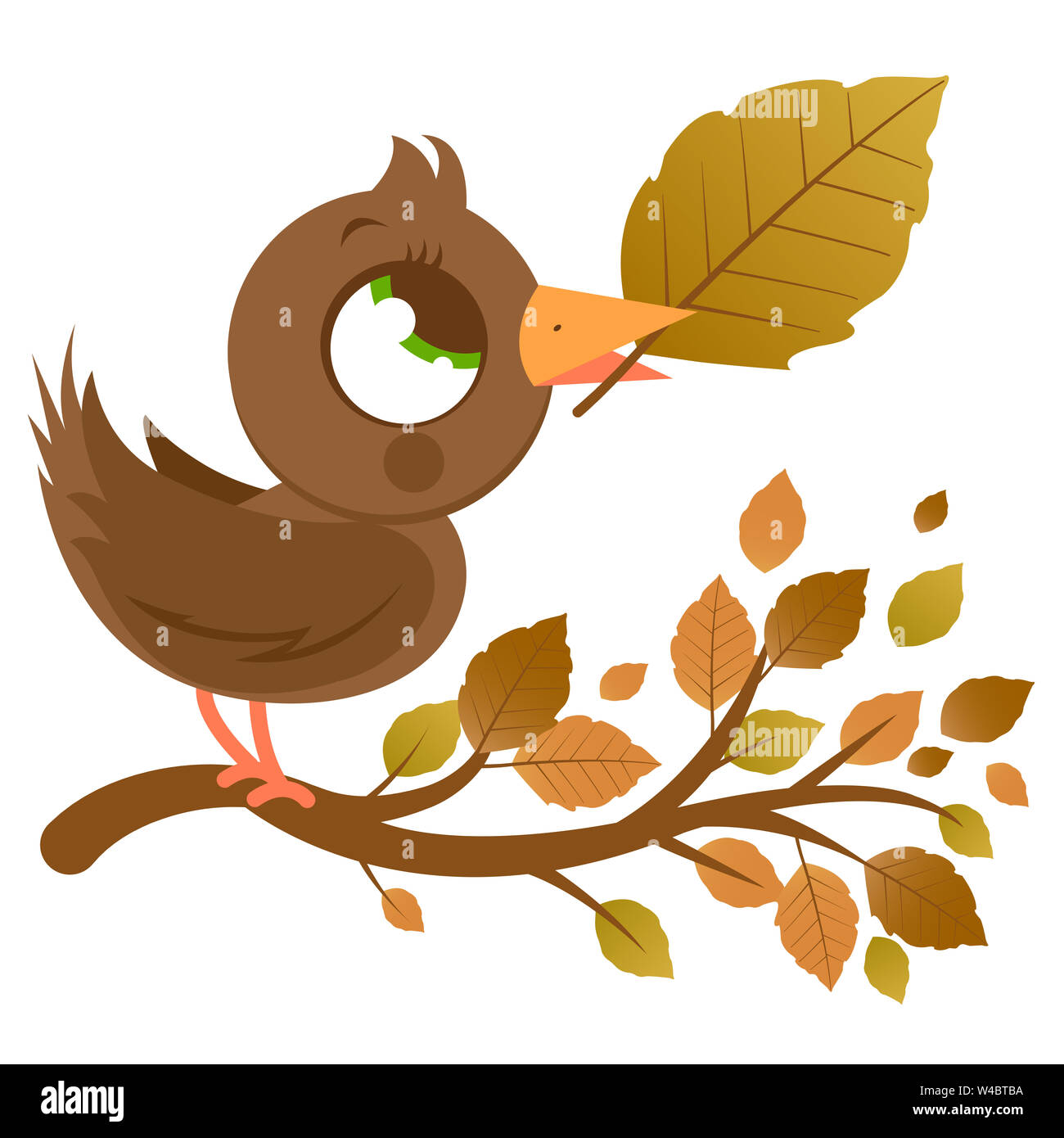 Uccello carino in autunno e ramo di albero con foglie secche. Albero della stagione autunnale con foglie marroni cadute e uccello. Foto Stock