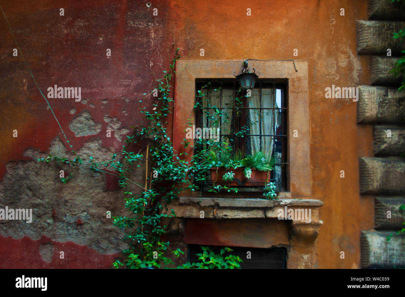 Uno vintage lanterna di ferro su una finestra su un arancione e parete rossa. Piante verdi in un vaso di fiori su un davanzale intrecciano con piante verdi in città ce Foto Stock