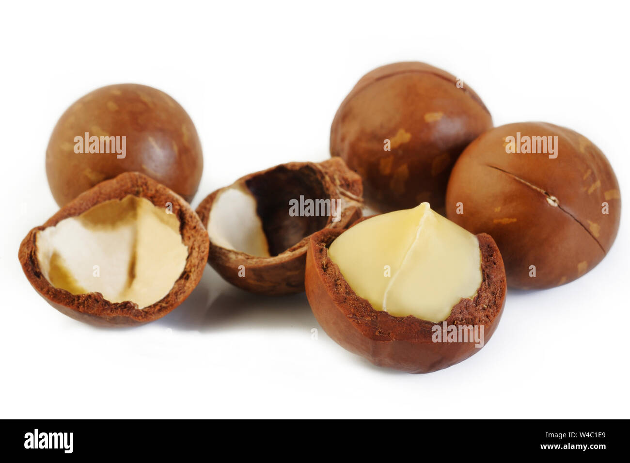 Noci di macadamia su sfondo bianco Foto Stock