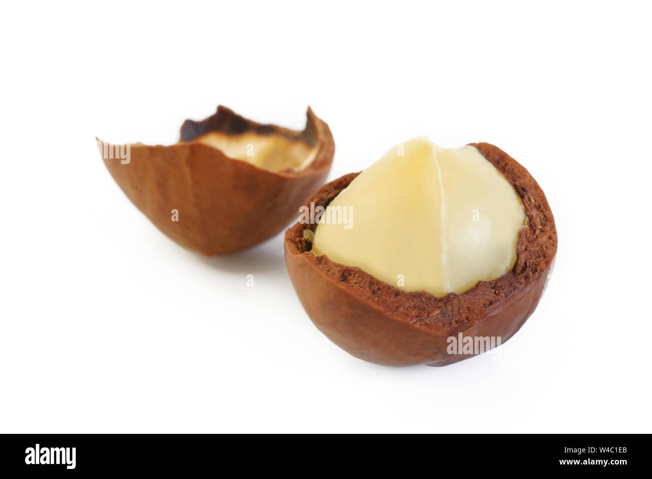 Noci di macadamia su sfondo bianco Foto Stock