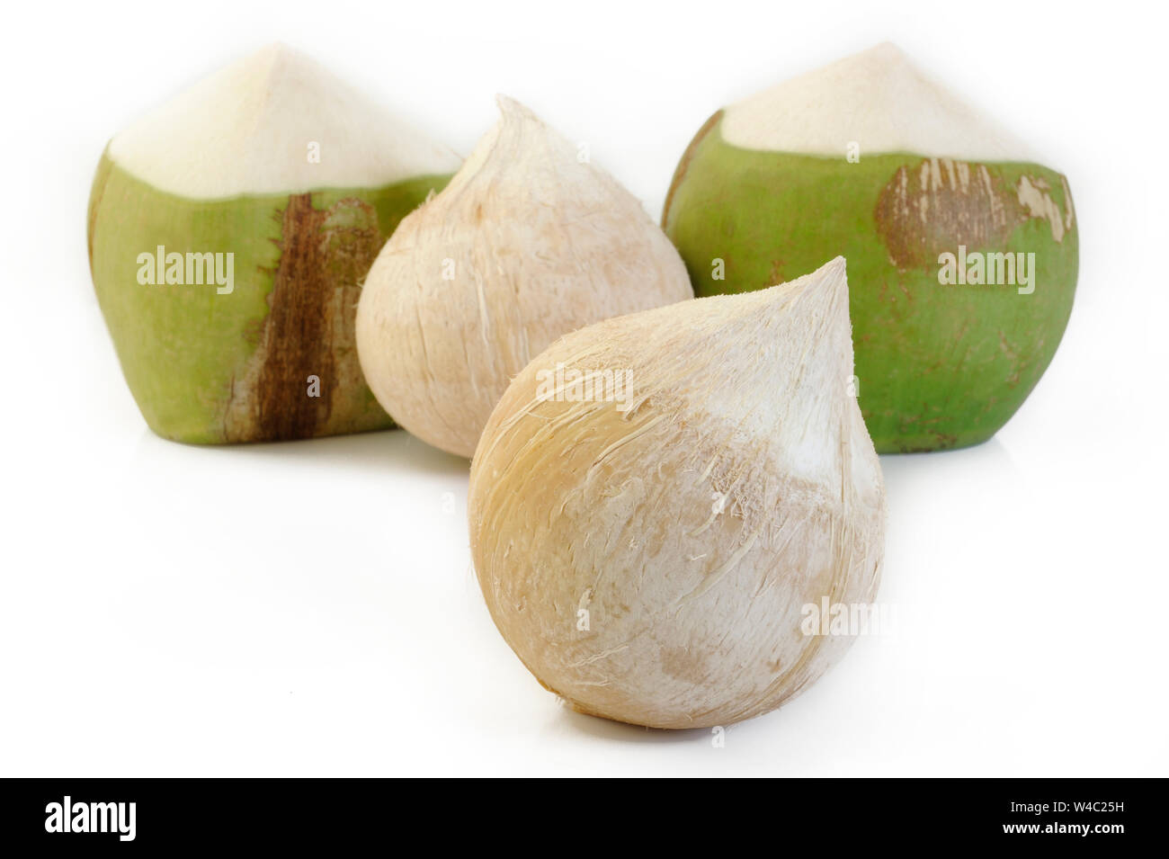 Fresca giovani coconut su sfondo bianco Foto Stock