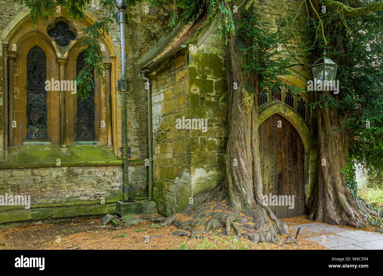 Il nord porta in legno di San Edward's Chiesa in Stow on the Wold nel Gloucestershire con antichi alberi di tasso su entrambi i lati Foto Stock