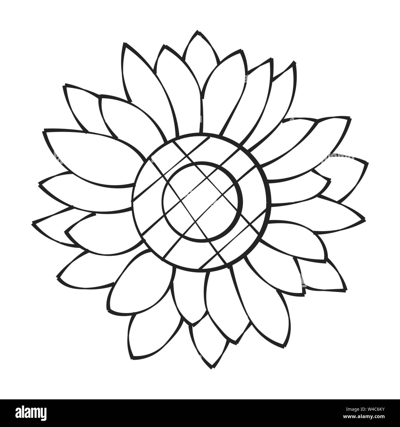 Fiore di girasole isolato, illustrazione vettoriale. Sullo sfondo della natura Illustrazione Vettoriale