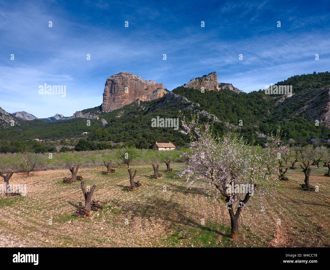 Vedute del parco naturale dels porte con alcuni alberi fioriti e spettacolari rocce Foto Stock