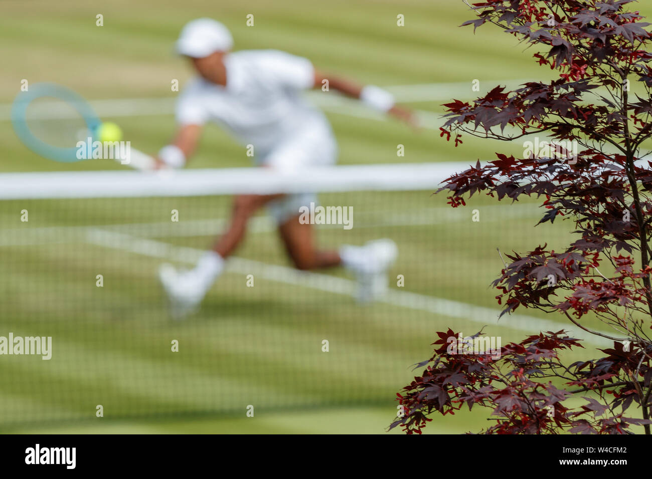 Dettaglio foglia con un generico giocatore dietro. Il campionato 2019. Tenuto presso Il All England Lawn Tennis Club, Wimbledon. Foto Stock