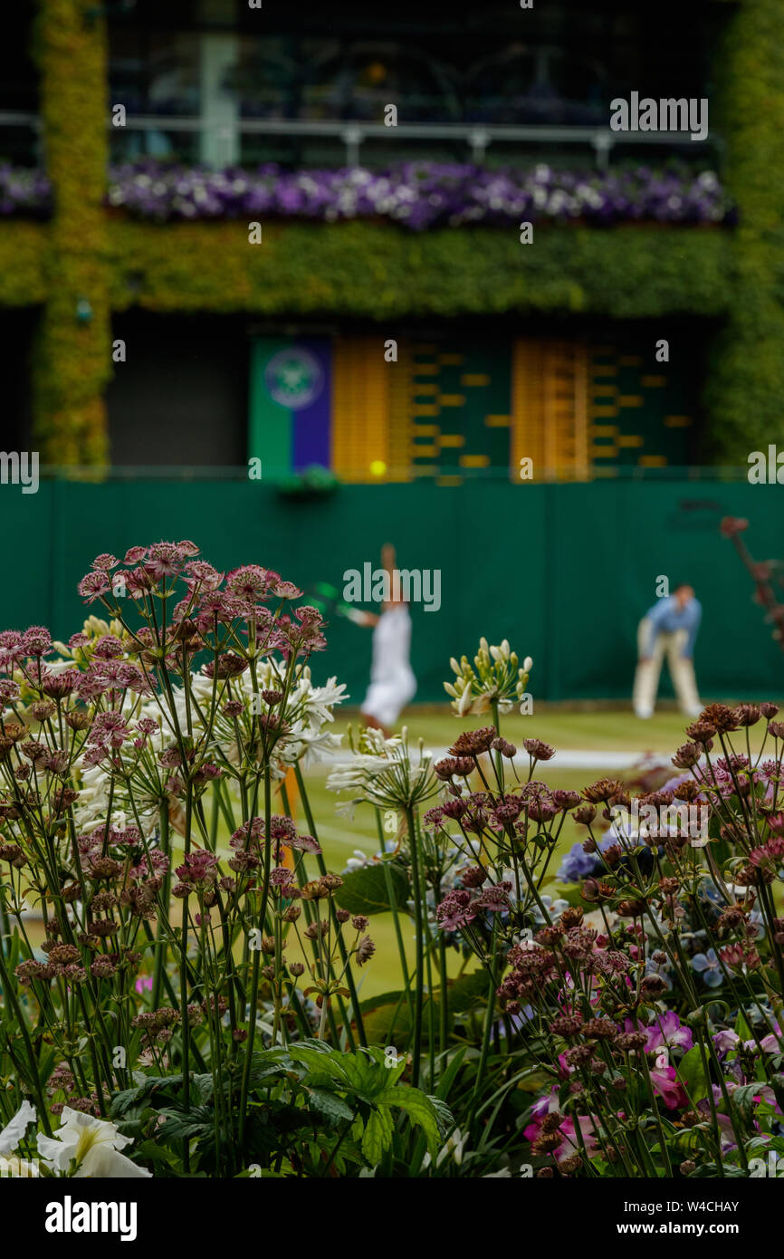 Dettaglio dei fiori con generic sfocata i giocatori di tennis dietro a campionati di Wimbledon 2019. Tenuto presso Il All England Lawn Tennis Club, Wimbledon. Foto Stock