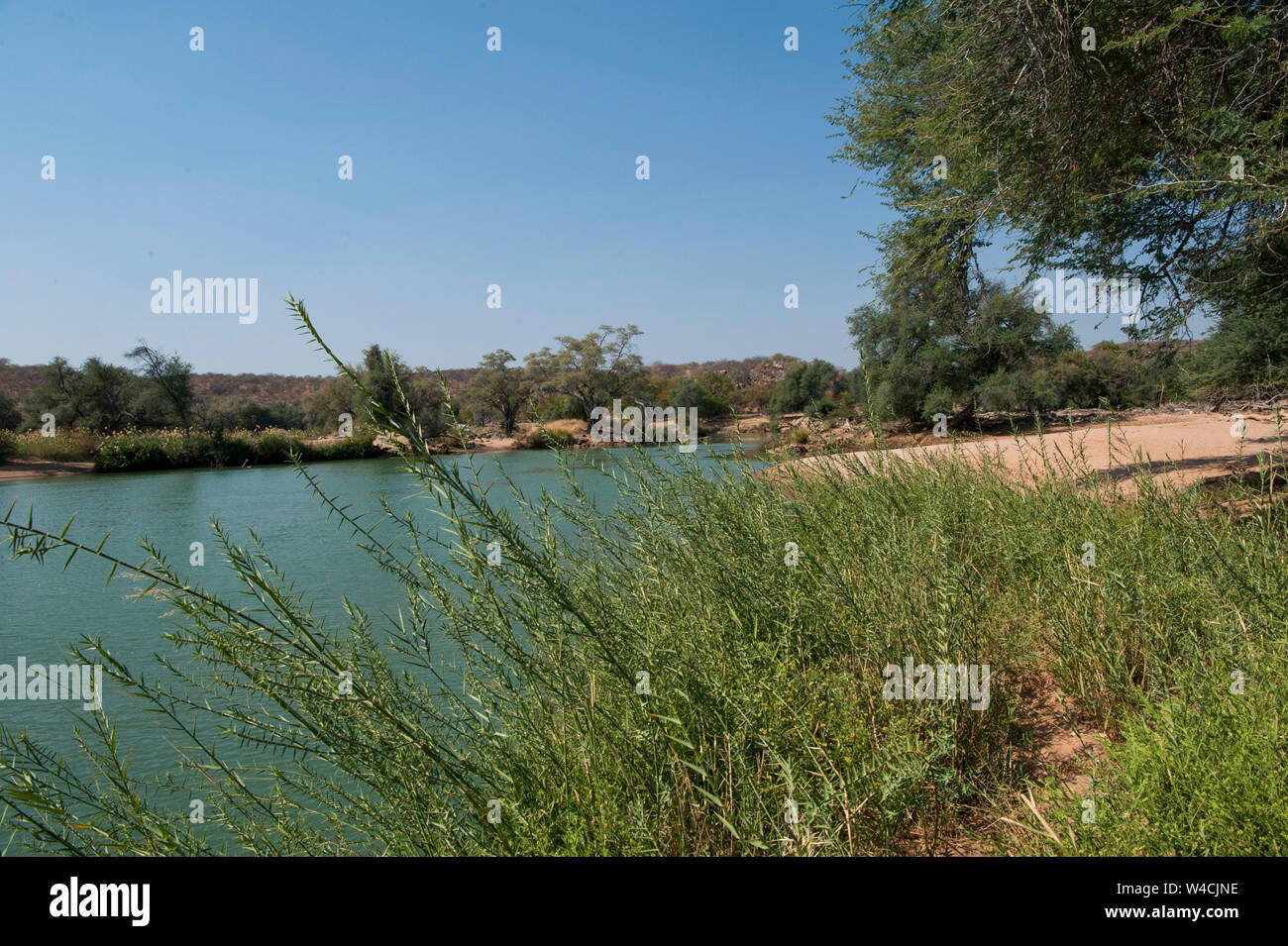 Il fiume Kunene Cunene (Fiume), il confine tra Angola e Namibia, Sud-ovest Africa Foto Stock