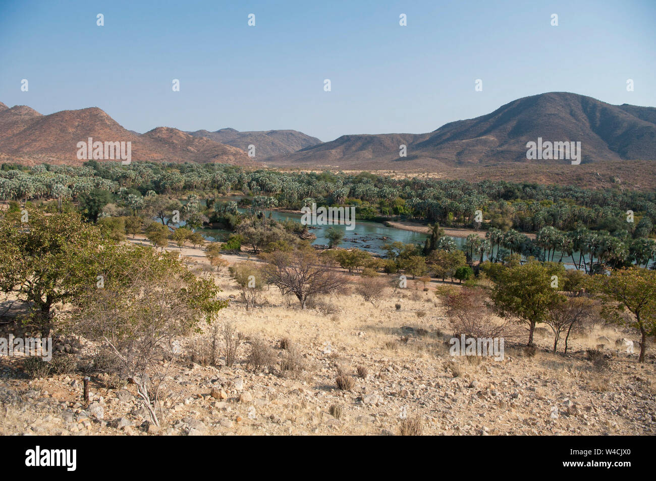 Il fiume Kunene Cunene (Fiume), il confine tra Angola e Namibia, Sud-ovest Africa Foto Stock