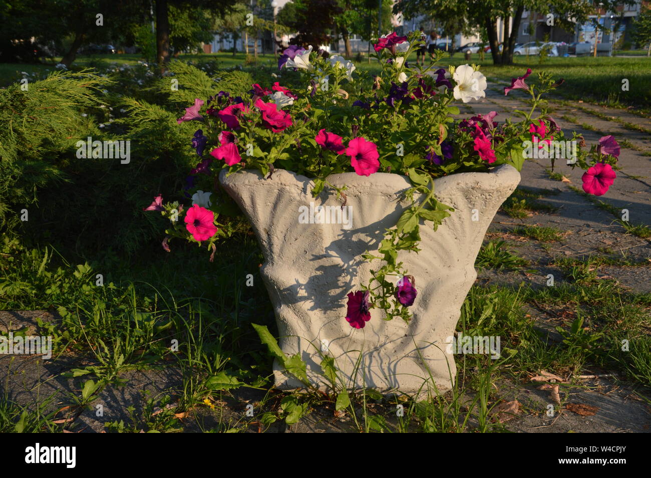 Jardiner decorativo in calcestruzzo per fiori Foto Stock