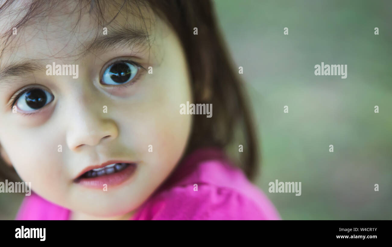 Outdoor Ritratto di un grazioso piccolo asiatici toddler Girl Foto Stock