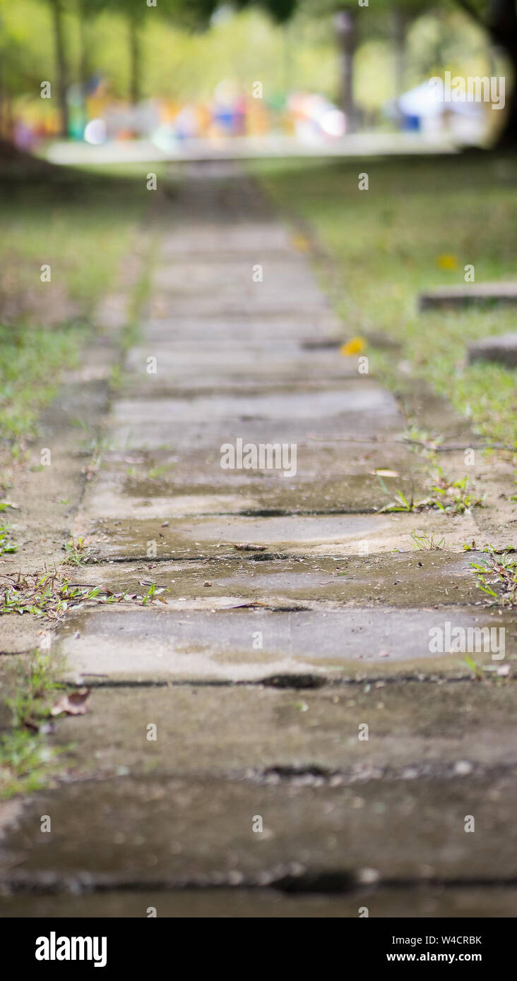 Calcestruzzo di scarico acqua copre o noto anche come un fosso sulla strada tra verde erbe. Foto Stock