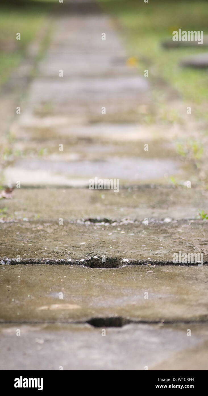 Calcestruzzo di scarico acqua copre o noto anche come un fosso sulla strada tra verde erbe. Foto Stock