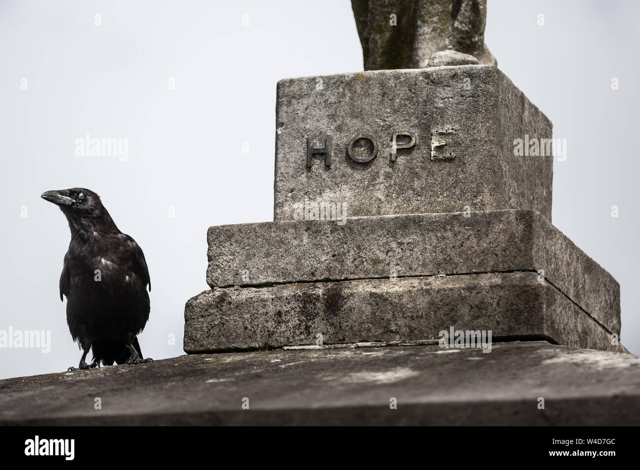 Brompton Cemetery Open Day. Una delle 'Magnificent sette' cimiteri in London, England, Regno Unito Foto Stock