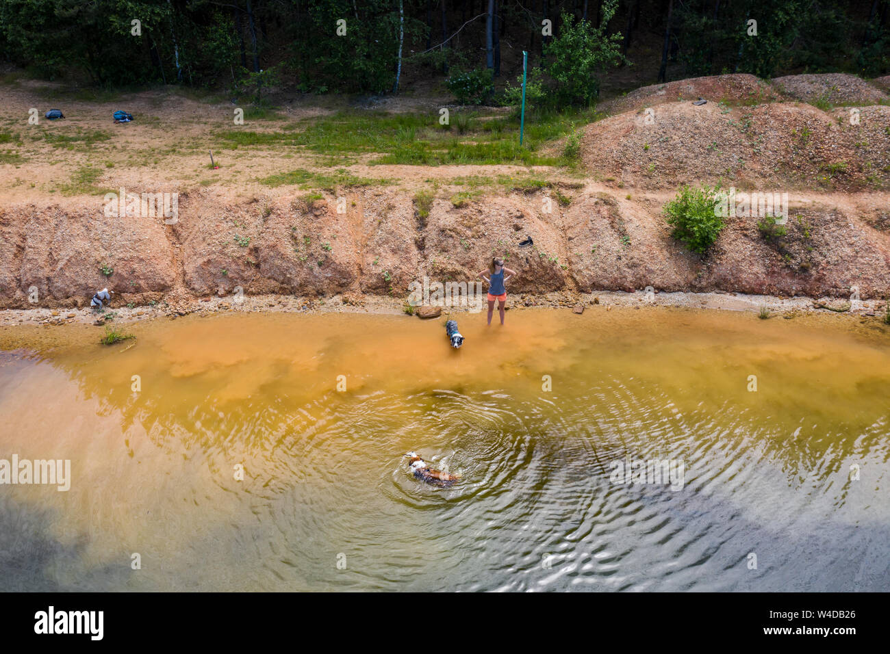 Regione Trebonsko si distingue per la sua straordinaria varietà di habitat. Il più prezioso dei biotopi della regione di Trebon Foto Stock