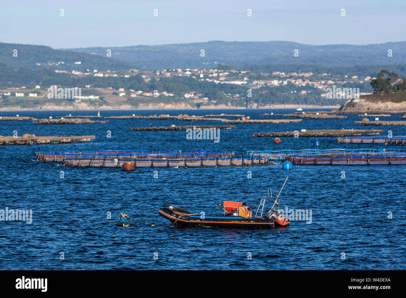 Mitilicoltura pesca in Lorbe, Oleiros, Oleiros, una provincia di La Coruña, Galizia, Spagna Foto Stock