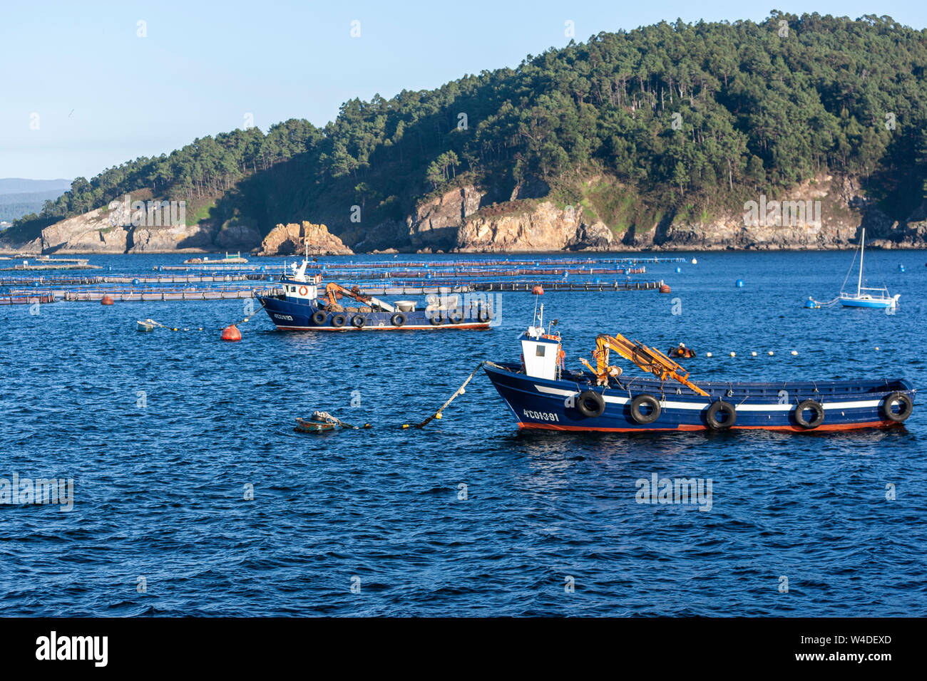 Mitilicoltura pesca in Lorbe, Oleiros, Oleiros, una provincia di La Coruña, Galizia, Spagna Foto Stock