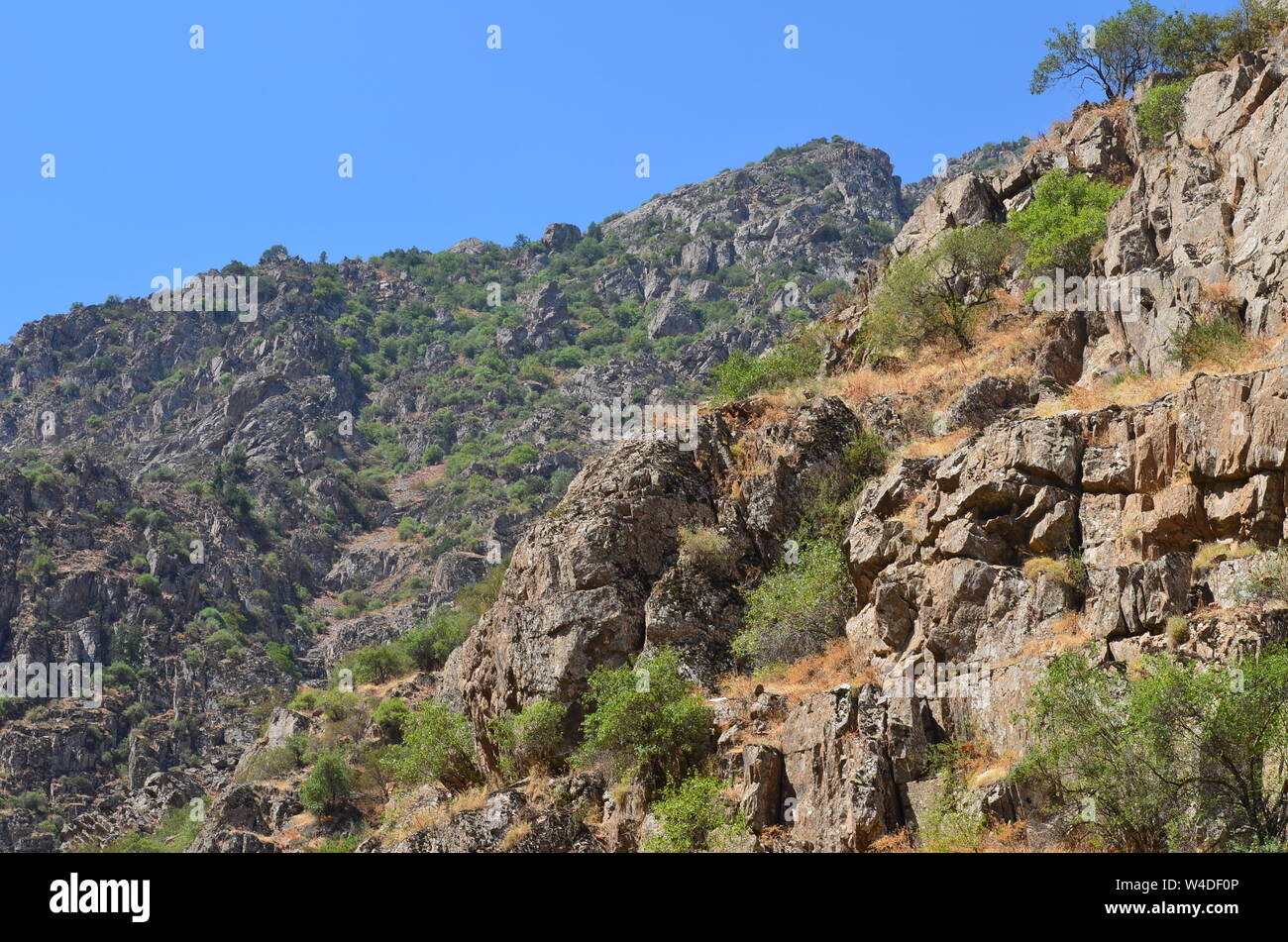 Zarmas Canyon nella provincia Qashqadarya, southeastern Uzbekistan Foto Stock