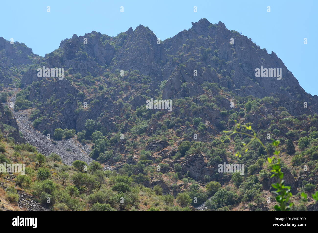 Zarmas Canyon nella provincia Qashqadarya, southeastern Uzbekistan Foto Stock