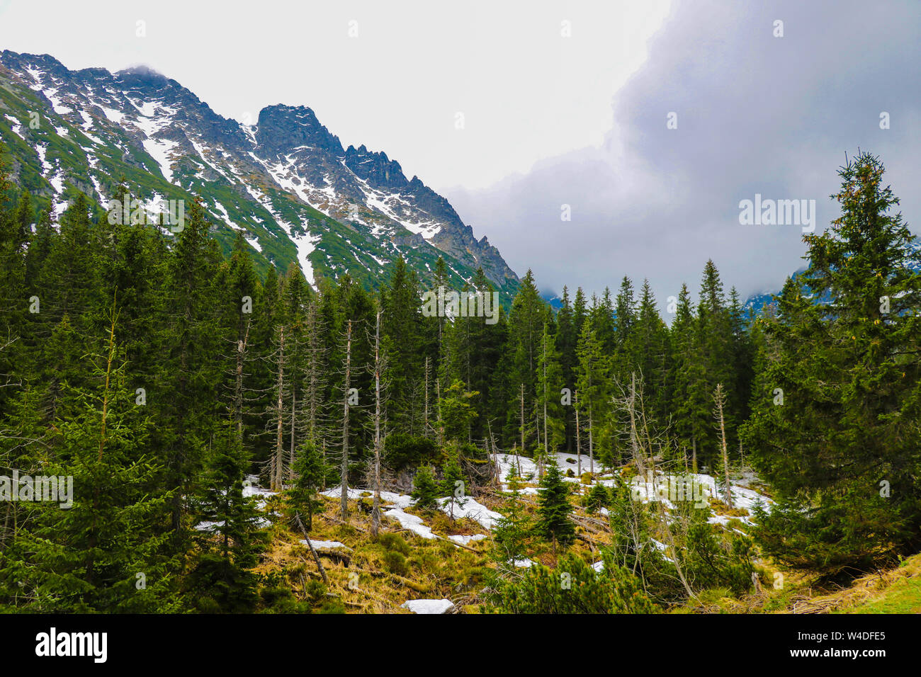 Vista dei Tatra mounains.monti Tatra in mattinata Foto Stock